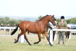 DSC07424