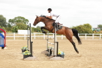 SBM_017358