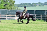 SBM_14001
