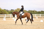 SBM_004493