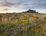 Hound Tor