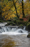Autumn colours, Afon Clywedog