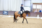 SBM_000181