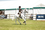 SBM_15623