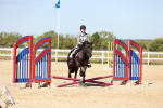 SBM_006976