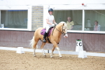 SBM_008338