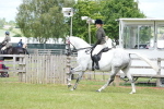 SBM_16186