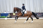 SBM_001675
