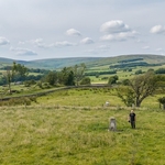 Forest of Bowland