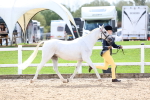 SBM_02454