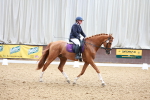 SBM_004672