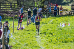 The Finish-973
