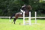 Class 5: Senior British Novice/90cm open portfolio