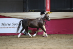 SBM_06533