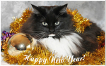 Happy New Year!