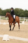 SBM_00994