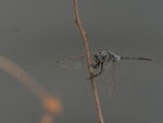 P1045952
