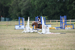 WJ6_8426