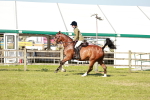 SBM_19260