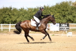 SBM_000762