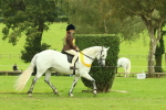 SBM_74974