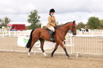SBM_02809