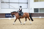 Class 7 - Ele FSM Bronze  13.24.14.04 portfolio