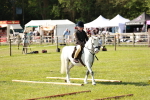 SBM_12620