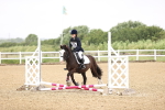 SBM_000049