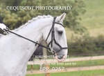 BPP_0257