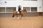SBM_002954