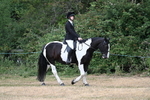Class 3 Family Mount portfolio