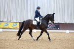 Class 3 - Novice 4 portfolio