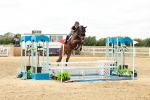 SBM_018946