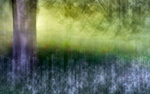4 Seasons