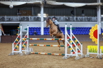 SBM_002179