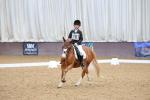 SBM_002964