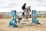 70cm showjumping portfolio