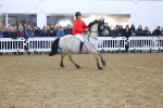 SBM_003262