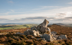 Stiperstones, towards Cranberry Rock