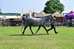 SBM_03368