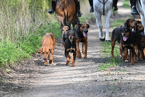 WJ7_7680
