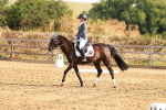 SBM_000168