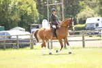 SBM_15258