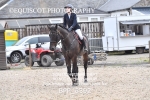 BPP_6392