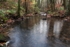 Autumn along the Brook - 3