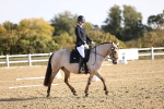 SBM_009097