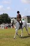 Class 33: Intermediate SRT/SH portfolio