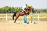 SBM_001031