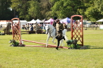 SBM_11261
